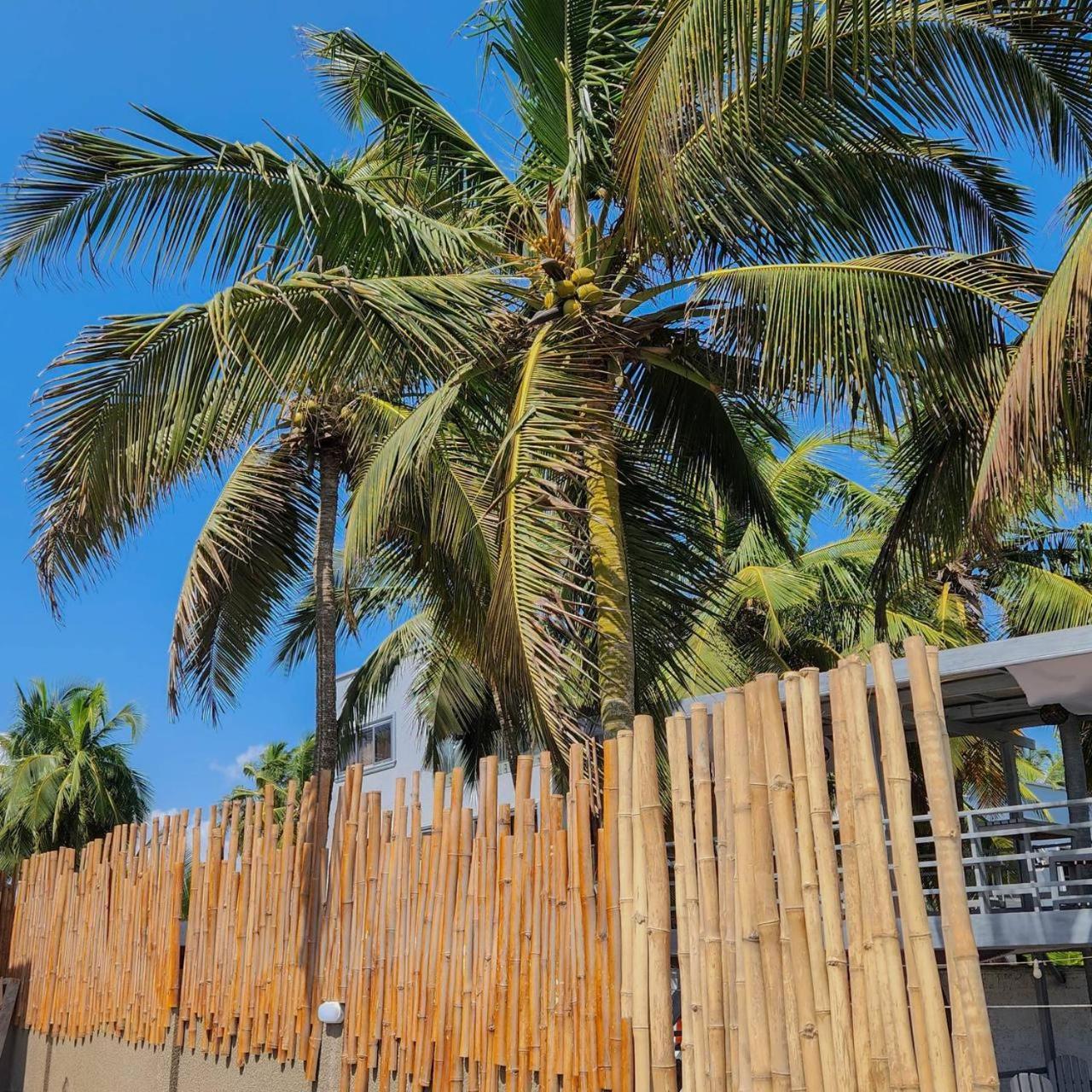 Serenity Terraces Beach, Hotel - Kokrobite Ngoại thất bức ảnh